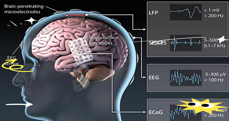 The Biocomputing Revolution: Energy Efficiency Breakthroughs and Paradigm Shifts in Human Neuron-Silicon Hybrid Systems