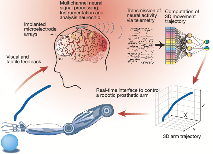 Brain-Computer Interface Revolution: Tsinghua NEO vs. Neuralink in Medical Innovation