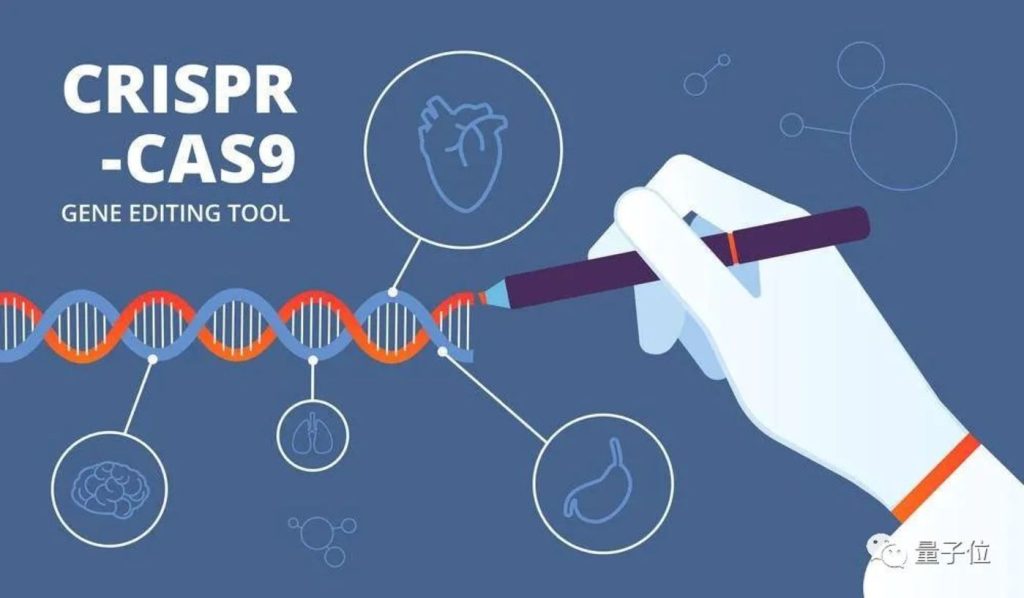 The Ethical Storm of Gene Editing: CRISPR 3.0 vs Base Editing vs Prime Editing